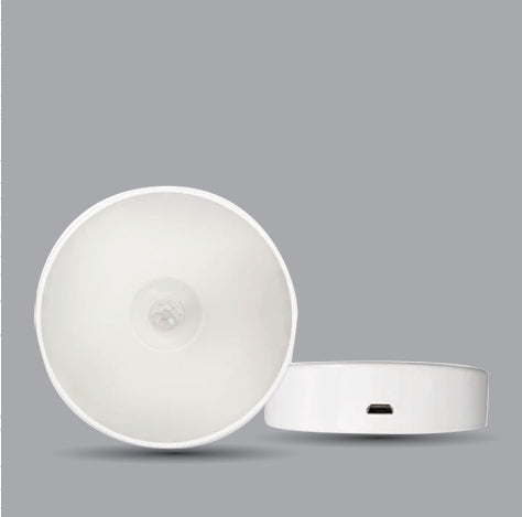 Hareket Sensörlü 2 Renk Led